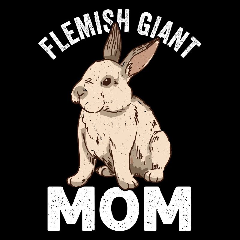 Flemish Giant Rabbit Rabbit Rabbit