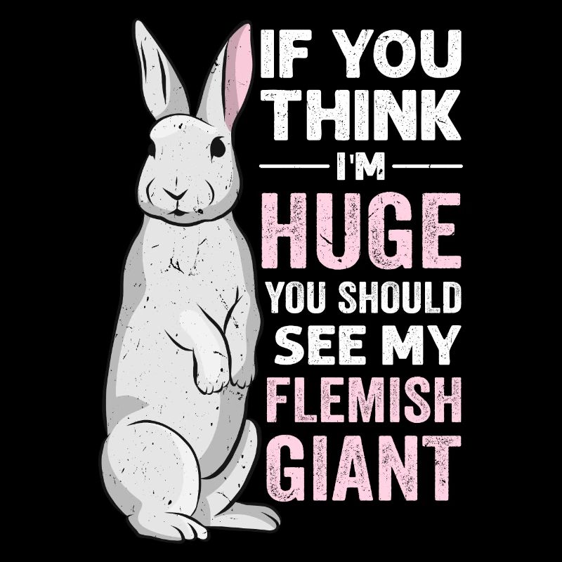 Lapin géant flamand Lapin Lapin
