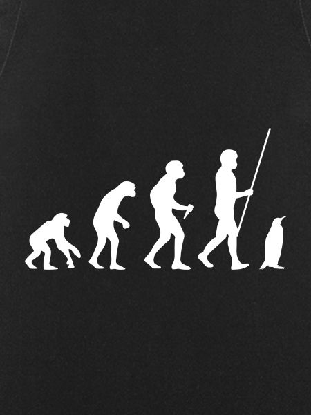 Penguin Evolution