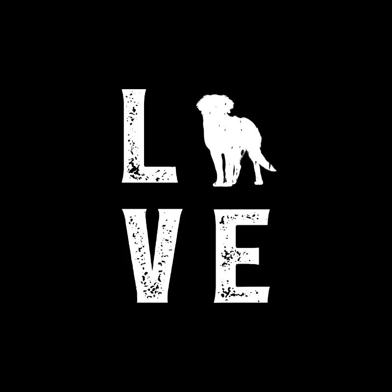 Amour de Bouvier Bernois