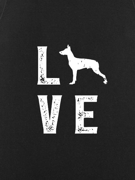 Xoloitzcuintle Love