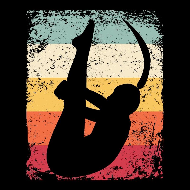 Plongeur en eau synchronisé High Diver