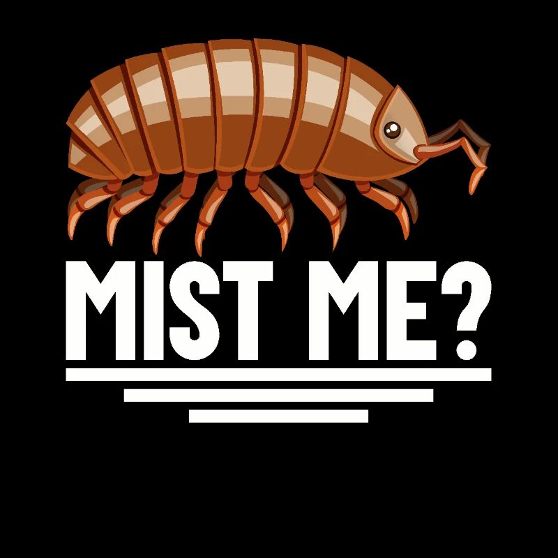 Pill Bug Owner Mist me Isopod Entomology Roly Poly