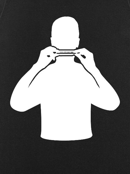 Harmonica Melody Virtuoso