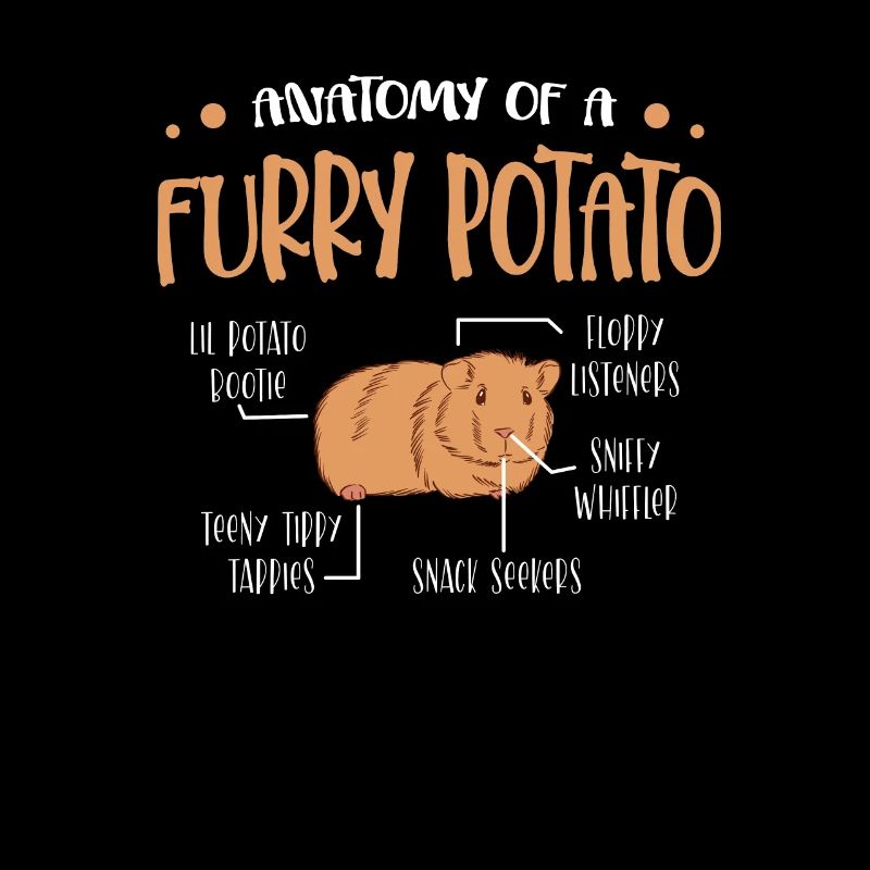Anatomie d’un cochon d’Inde de pomme de terre à fourrure