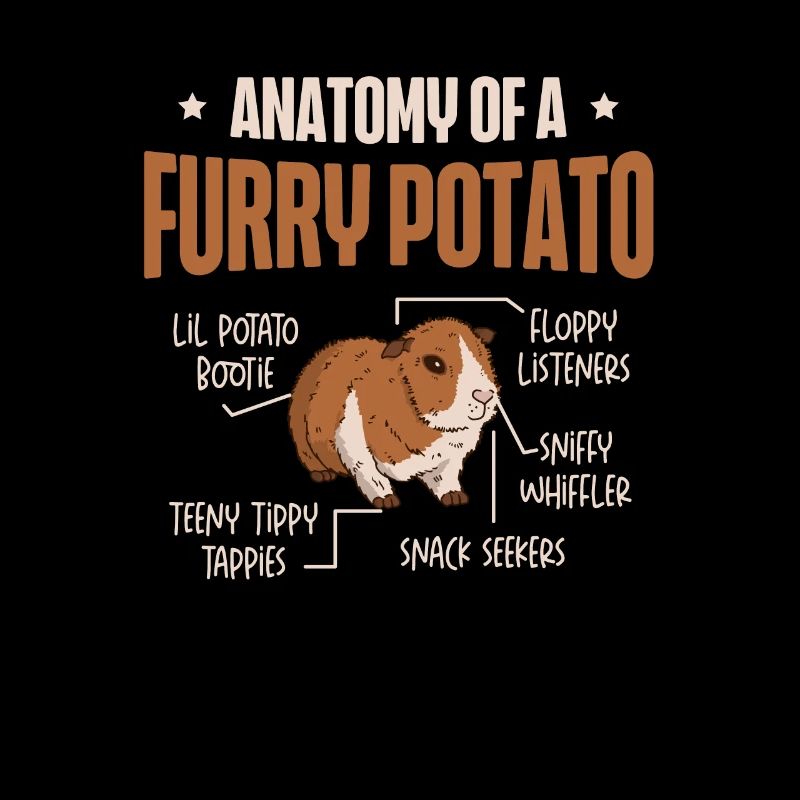 Anatomie d’un cochon d’Inde de pomme de terre à fourrure
