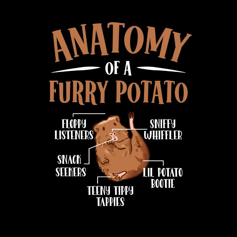 Anatomie d’un cochon d’Inde de pomme de terre à fourrure