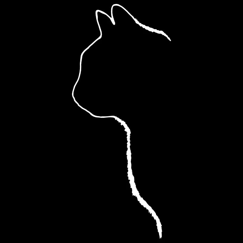 Silhouette de chat