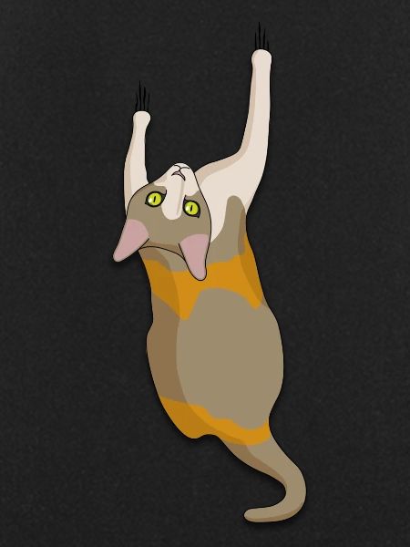 Climbing cat