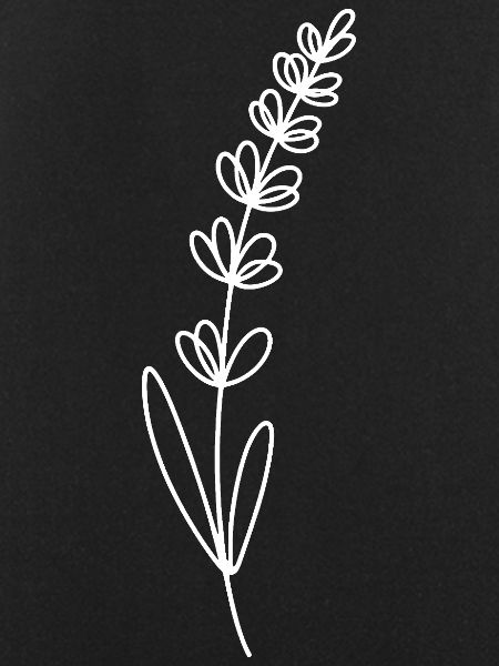Lavender line illustration