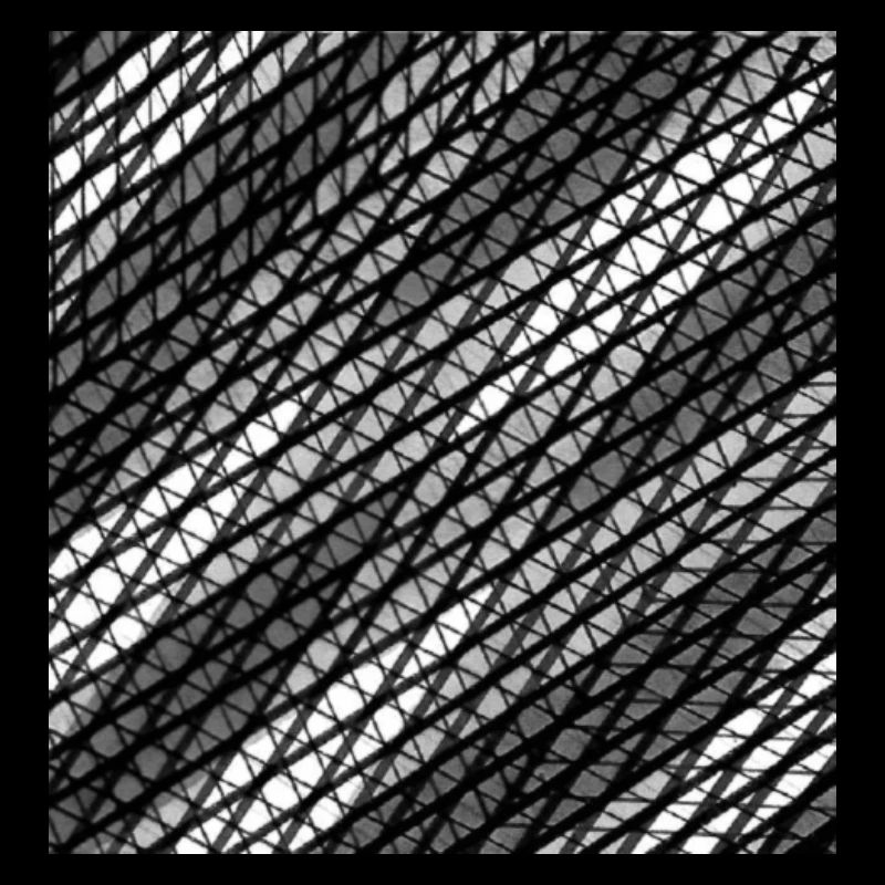Motiv/5
