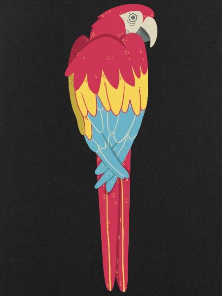 Macaw