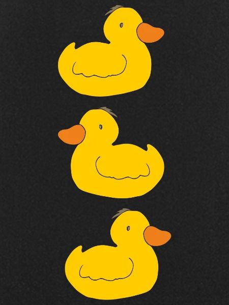 Three ducklings