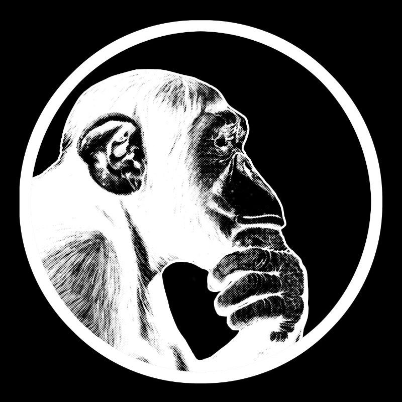 Pensez à des chimpanzés singes