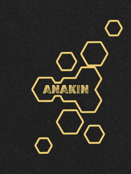 Nom : Anakin