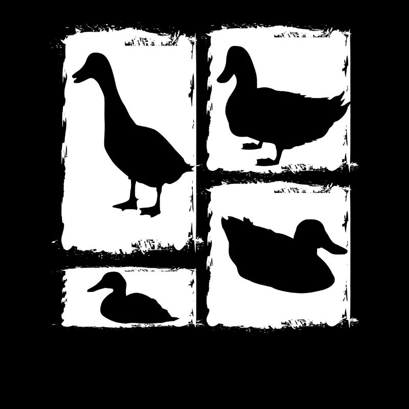 Ducks
