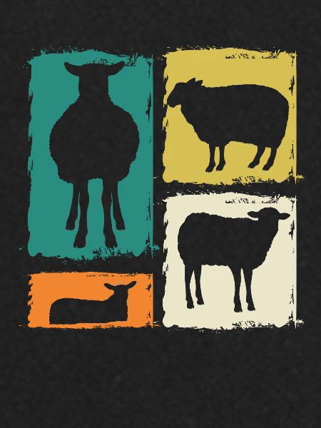 Shepherd Sheep