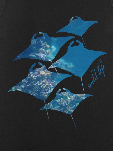 Rays Wildlife