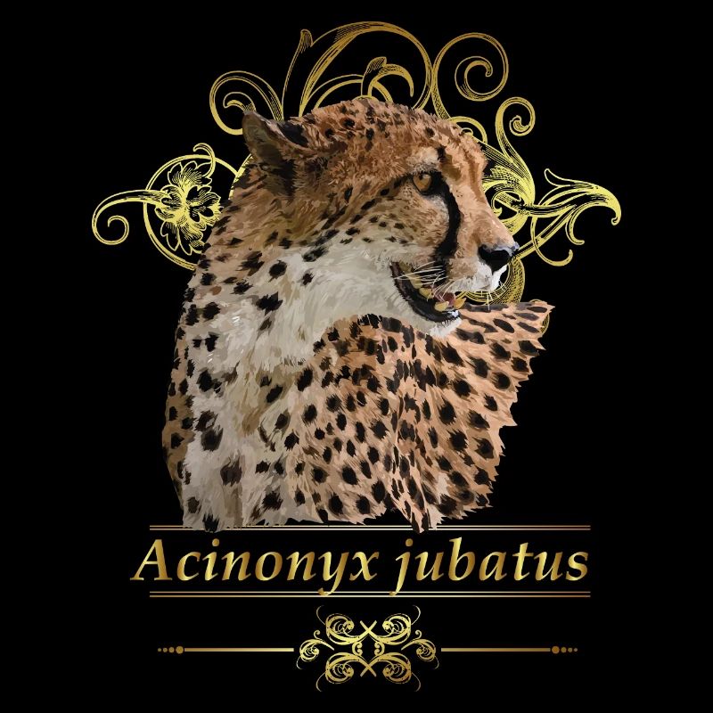 Gepard