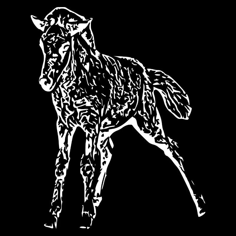 cheval blanc cheval blanc t-shirt cadeau cavalier