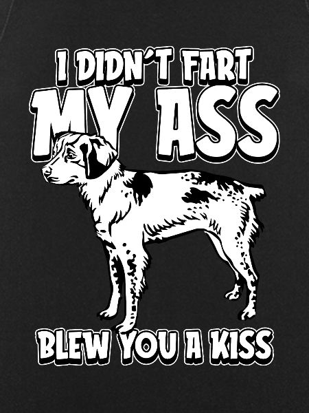 Brittany Spaniel
