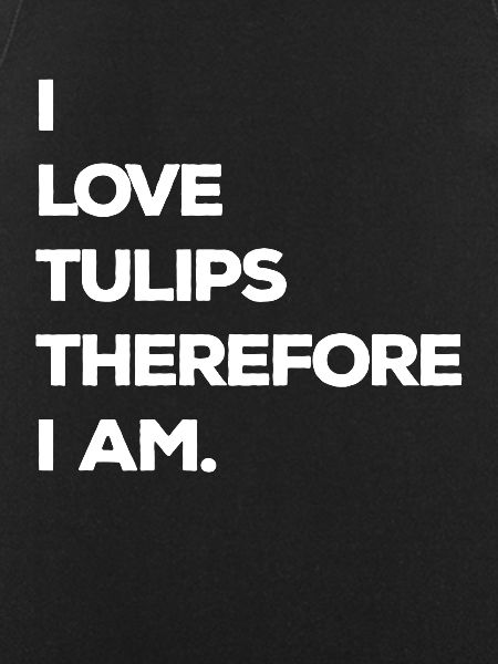Tulips Tulips