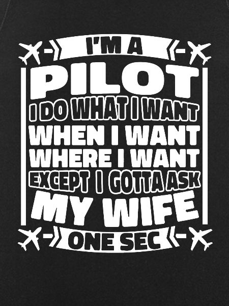 Airplane Pilot