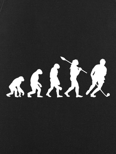 Hockey Evolution