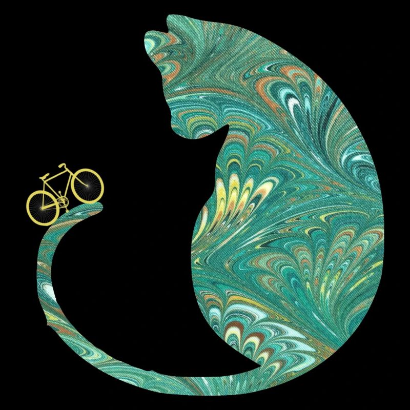 chat et vélo e 71
