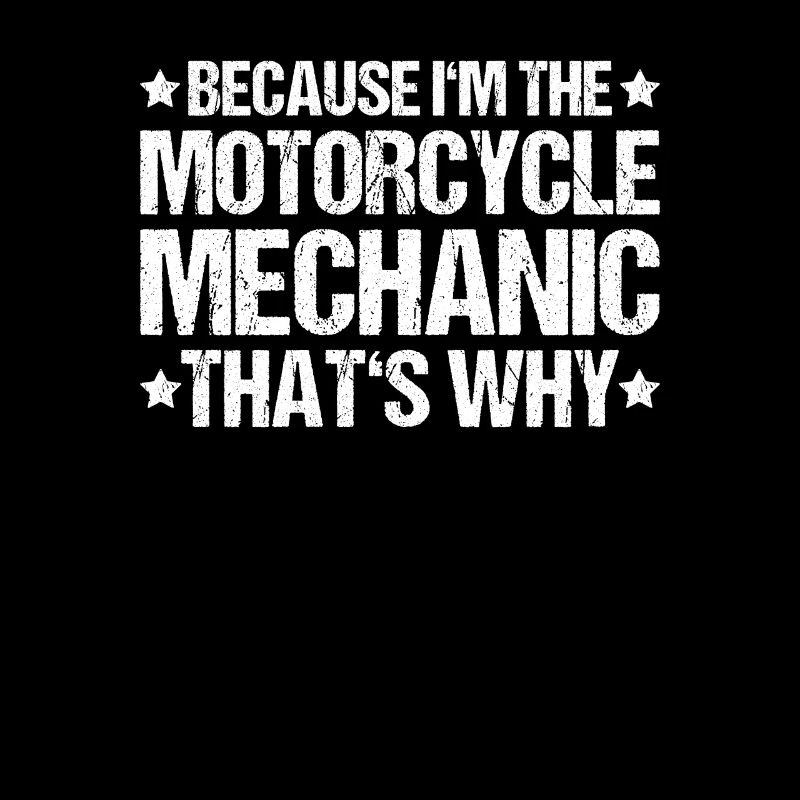 Two-wheel mechatronics engineer Motorcycle Motorcycle Mechanic