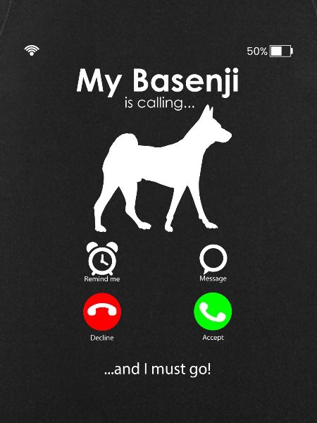 Basenji
