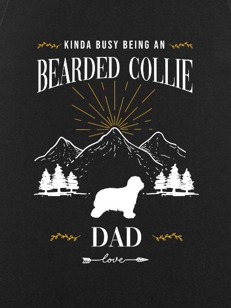 Bearded Collie
