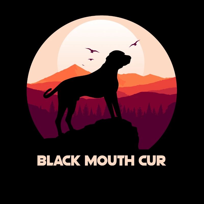 Cur bouche noire