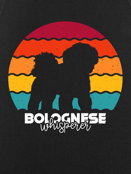 Bolognese Dog