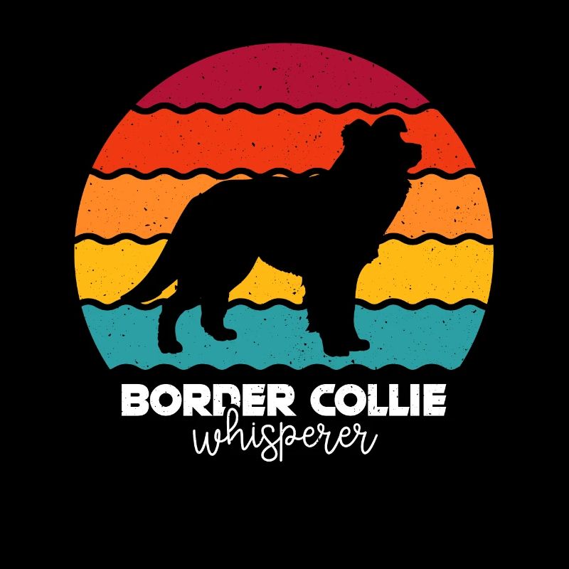 Border Collie Hund