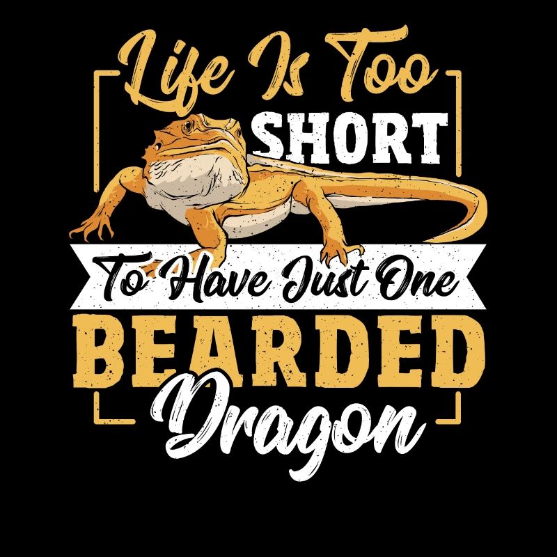 Bearded Dragon Iguana Chameleon Dwarf Bar