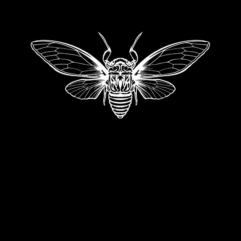 Cicada Cicada Brut Insect