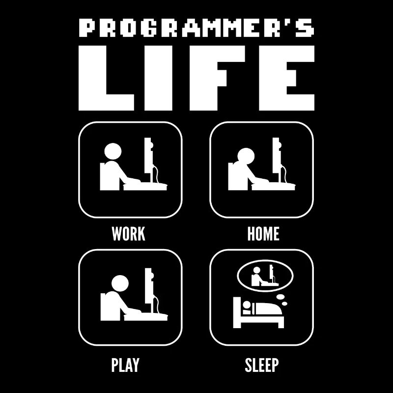Programmers Life. Work Home Play Sleep Programming