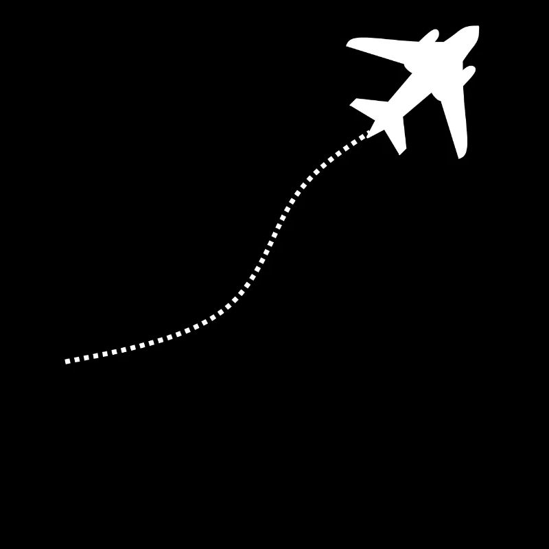 Pilot pilots plane gift T-shirt