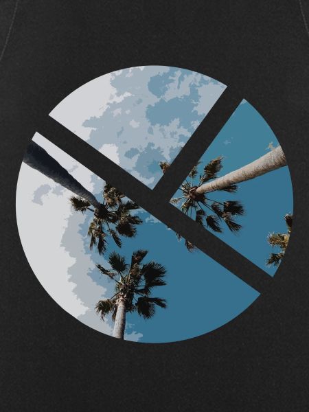 Palm tree