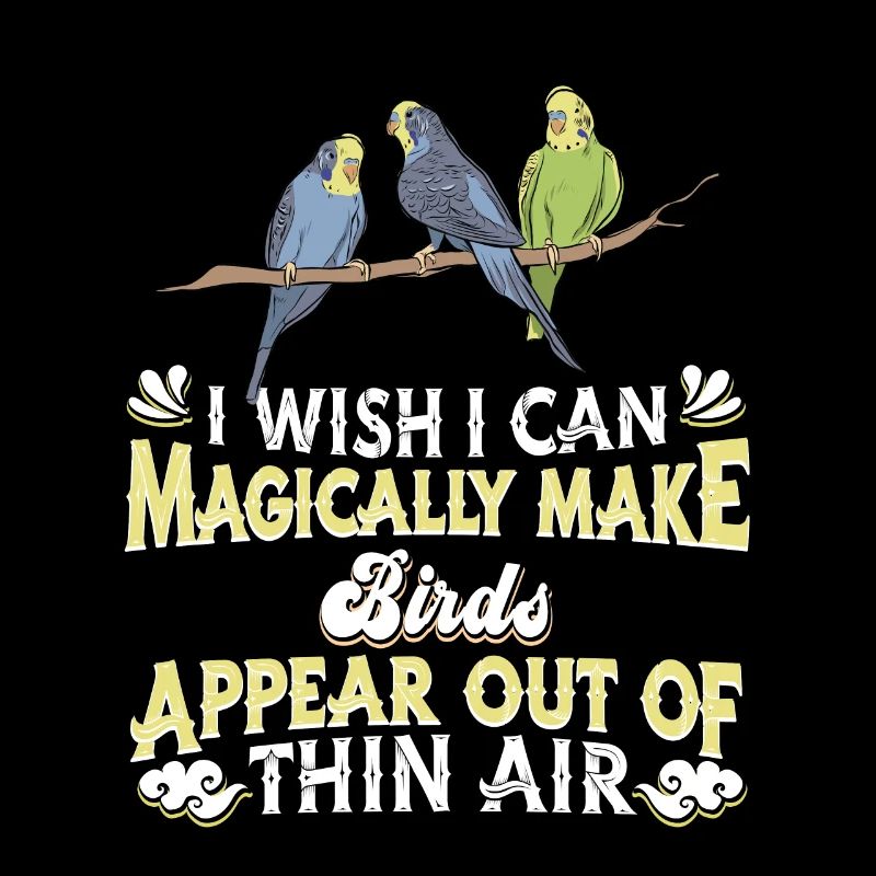 Oiseaux Oiseaux