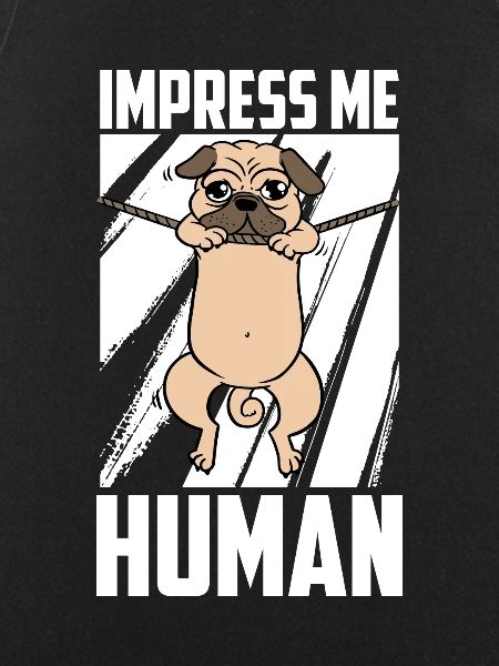Mops Hund