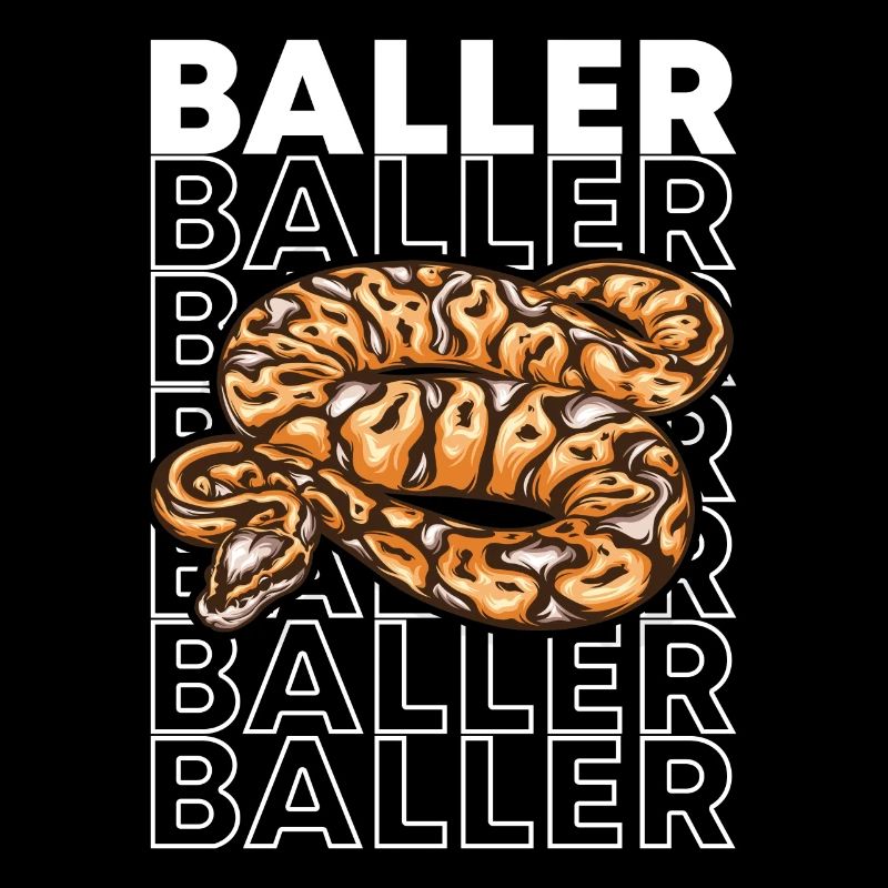 Ball Python 80's Style Baller Royal Python Snake