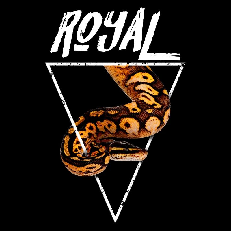 Royal Ball Python Propriétaire