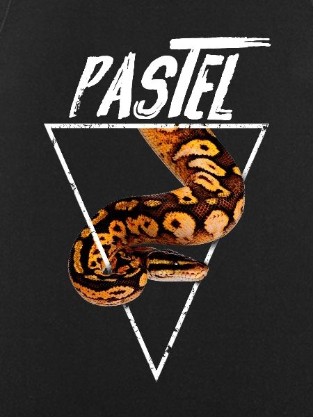 Pastel Ball Python Owner