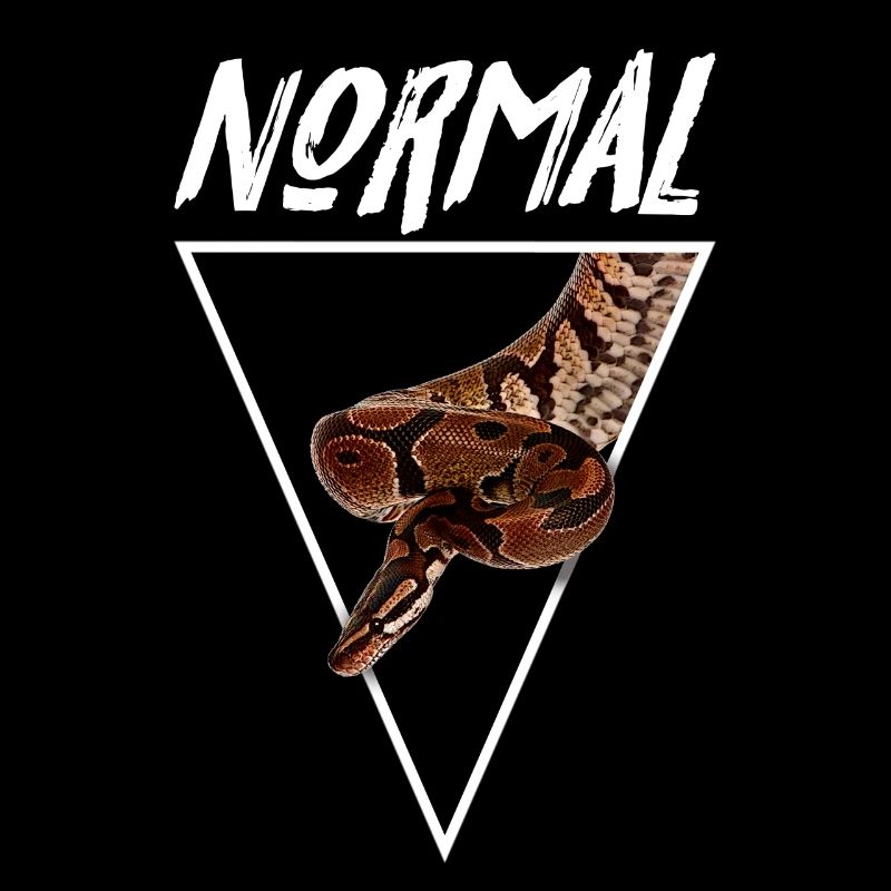 Normal Ball Python Morph Snake Owner