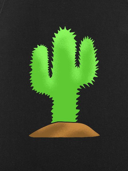Cactus Garden