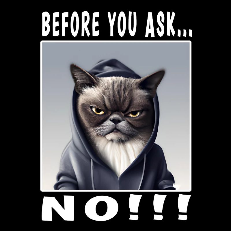 Before you ask no