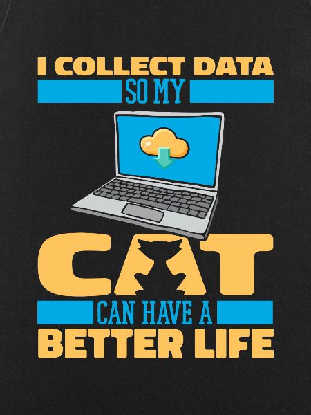 Data Science Data Analyst Katze