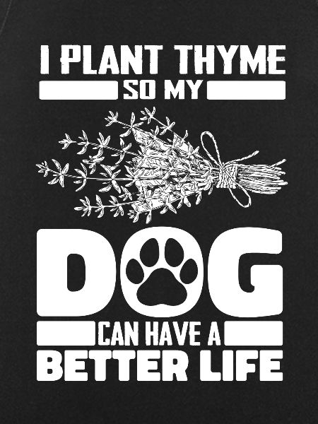 Thyme Herb Dog